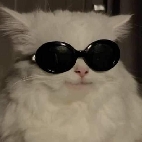 mistyeri