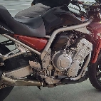 rotten08a5777